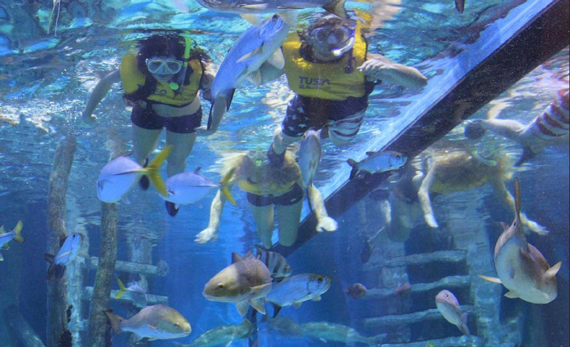 סיינט פיט ביץ' Rumfish Beach At Tradewinds מראה חיצוני תמונה